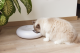 Beeztees Automatische Voerbak Onni Kat Wit 6 x 180 ml 33 x 33 x 9 cm