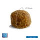 Carocroc Premium Puppy Large 25/17 3kg.