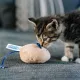 Carocroc Kitten pakket