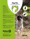 Excellent Dog Flex 250 ML