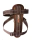 EzyDog Chest Plate tuig L Candy
