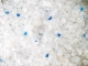 Linda kattenbakvulling Silica 20L