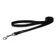 Rogz hondenriem Fanbelt L Zwart