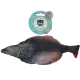 Totally Hooked kattenspeeltje Halibut M 30 cm