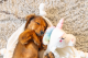 Beeztees Puppy Knuffeldoek Unicorn Wit 50 x 40 x 16 cm