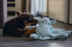 Beeztees Puppy Knuffeldoek Draak Groen 46 x 40 x 7,5 cm