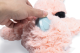 Beeztees Puppy Hondenspeeltje Flamino Roze 30 x 21 x 5 cm