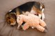 Beeztees Puppy Hondenspeeltje Flamino Roze 30 x 21 x 5 cm