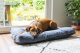Beeztees Orthopedisch Hondenkussen Veo Donkergrijs 120 x 80 x 10 cm