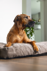 Beeztees Orthopedisch Hondenkussen Veo Mokka 120 x 80 x 10 cm