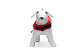 Beeztees Zwemvest Rood 40 cm/voor honden tot 45,4 kg