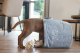 Beeztees Puppy Speelgoedmand Suus Grijs 30 x 30 x 30 cm