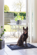 Dog Gone Smart Dirty Dog Droogloopmat Zwart 90 x 66 cm