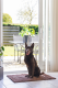 Dog Gone Smart Dirty Dog droogloopmat Bruin 90 x 60 cm