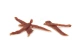 Beeztees Ducky Chews 90 gram