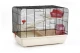 KNAAGDIERENK REX 2 ZWT/BGE 59X38X43
