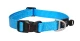 Rogz hondenhalsband Fanbelt L Turquoise