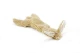 Beeztees Flatino Pluche Konijn Bruin 30 cm