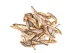 Carnis Spiering 100 gram