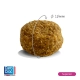 Carocroc Super Premium Superior 20/10 3 kg.