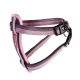 EzyDog Chest Plate tuig XL Candy