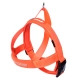 EzyDog Quick Fit tuig XS Oranje