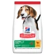 Hill's Science Plan Canine Puppy Medium Chicken 12 kg