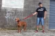 EzyDog Vario 4 Looplijn Candy 183 cm X 12 mm