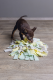 Beeztees Puppy Snuffelmat Sniffy 22 x 22 x 4 cm