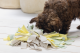 Beeztees Puppy Snuffelmat Sniffy 22 x 22 x 4 cm